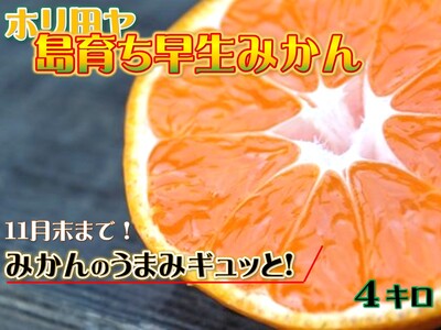 [受付は11月末まで!]ホリ田ヤ 島育ち早生みかん サイズばら 4キロ [KB00940]