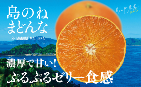【先行予約】島のね農園のまどんな　4kg【K001620】