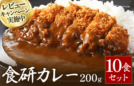 食研カレー２００ｇ×１０袋 【VB02360SET10】