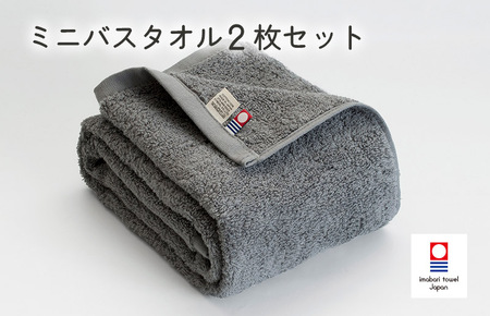 (今治タオルブランド認定)今治ベーシックタオル ミニバスタオル 2枚セット(グレー) [I002120MBT2GY]