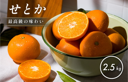 [先行予約][数量限定]ホリ田ヤ せとか 2.5kg[K002420]