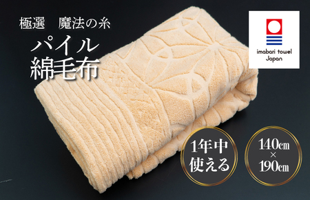 （今治タオルブランド認定）極選魔法の糸 パイル綿毛布 1枚 （ベージュ） [I002990KT1BE] 