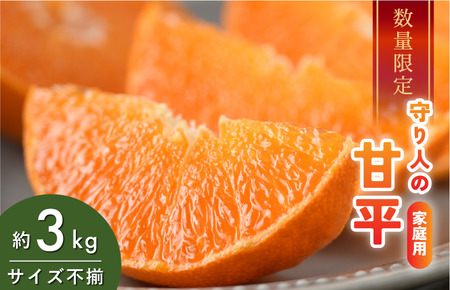 [先行予約] [数量限定] 守り人の甘平 3kg(家庭用) [K003070] 2月上旬〜2月下旬に順次発送予定