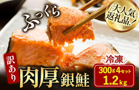 訳あり塩銀鮭切り身 1.2kg(300g×4袋)[V003250]
