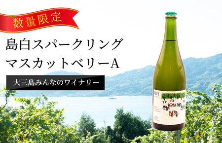 島白スパークリング[V003320]