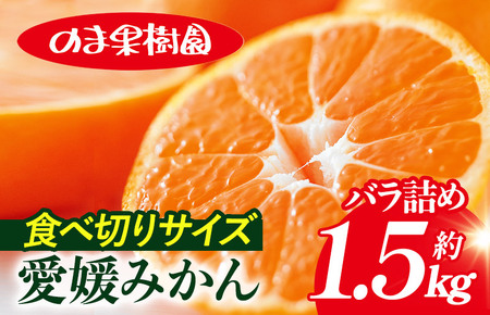 愛媛みかんバラ詰め(1.5kg)[K003670K1] 人気商品 国産 高級フルーツ 人気商品 みかん 柑橘 フルーツ 果物 乃万青果 のま果樹園 温州みかん