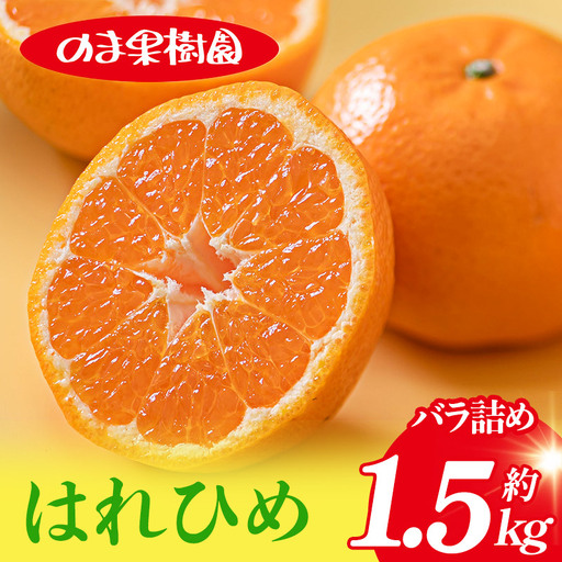 [先行予約]はれひめ(1.5kg)
