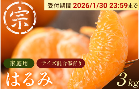 �y��s�\��z�͂�݁i�ƒ�p�j��3kg�yK003580K3�z