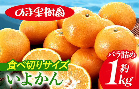 いよかんバラ詰め(1kg) [K003660K1] 人気商品 国産 高級フルーツ 人気商品 みかん 柑橘 フルーツ 果物 乃万青果 のま果樹園 いよかん