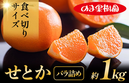 せとか家庭用(1kg) [K003710K1] 人気商品 国産 高級フルーツ 人気商品 みかん 柑橘 フルーツ 果物 乃万青果 のま果樹園 せとか 高級柑橘