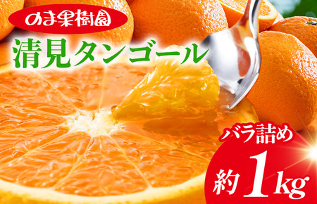 清見タンゴール (1kg) [K003700K1] 人気商品 国産 高級フルーツ 人気商品 みかん 柑橘 フルーツ 果物 乃万青果 のま果樹園 温州みかん オレンジ