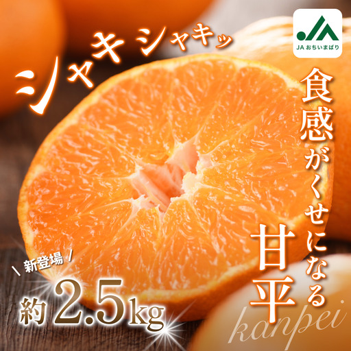 [先行予約]甘平(家庭用)レギュラー箱 約2.5kg