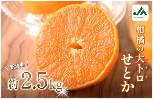 [先行予約]せとか(家庭用)レギュラー箱 約2.5kg[KC00770K3]