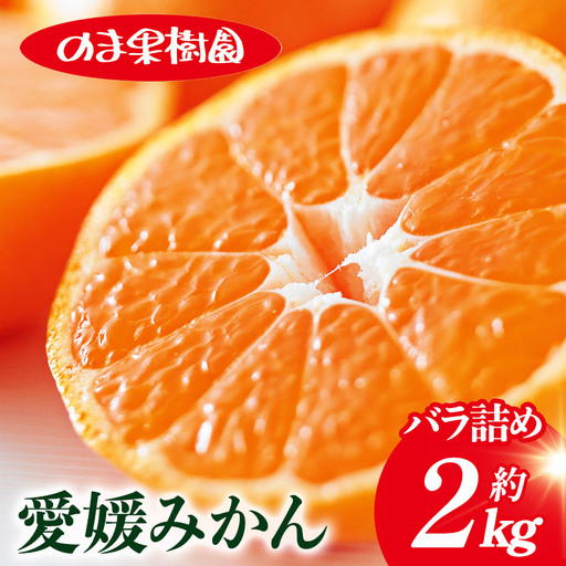 【先行予約】愛媛みかんバラ詰め（2kg）