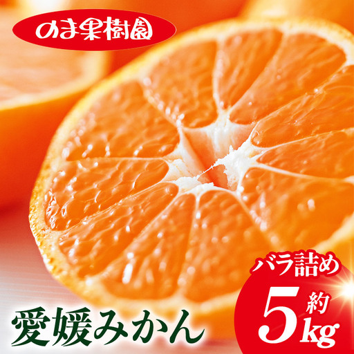 【先行予約】愛媛みかんバラ詰め（5kg）