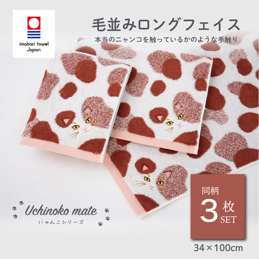 (今治タオル)Uchinoko mate にゃんこシリーズ 毛並みロングフェイスタオル3枚セット(ミケ/キャリコ)