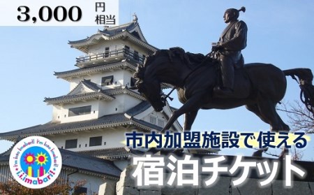 アイアイ今治宿泊チケット 1000ポイント分×3枚(3000円相当額) [TB09030]