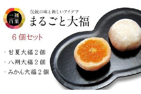 一福百果柑橘大福食べ比べ6個入 [VB01020]