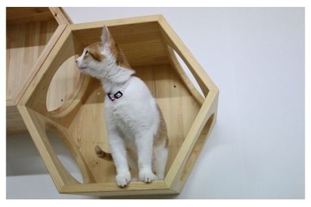 ネコロク（国産ヒノキのキャットステップ） [VE00570]