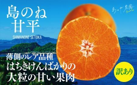 [訳あり]甘平 島のね農園4kg[KB01600]