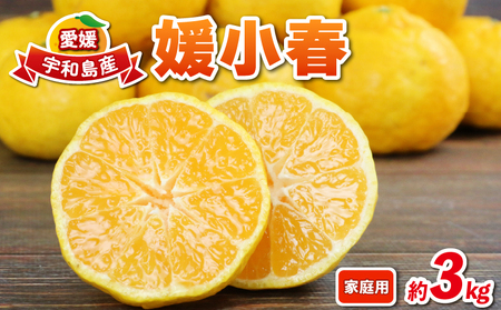 媛小春 3kg 愛媛みかん 兵頭農園 みかん mikan 愛媛ミカン 愛媛蜜柑 ひめこはる 愛媛県産 限定 希少 品種 蜜柑 果物 フルーツ 柑橘 高級 産地直送 農家直送 数量限定 国産 愛媛 宇和島