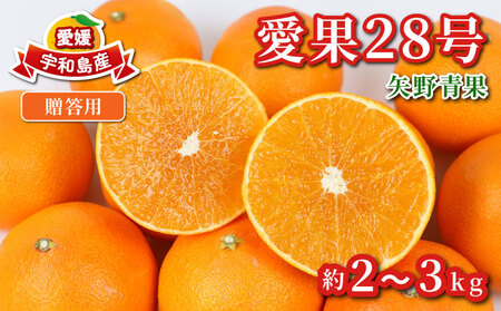 みかん 贈答用 愛果28号 2 ~ 3kg 化粧箱入 矢野青果 柑橘 蜜柑 mikan 高級 ブランド 限定 人気 品種 甘い ゼリー プルプル 果物 くだもの フルーツ 人気のみかん 美味しい 濃厚 贈答品 数量限定 産地直送 先行予約 国産 愛媛 宇和島