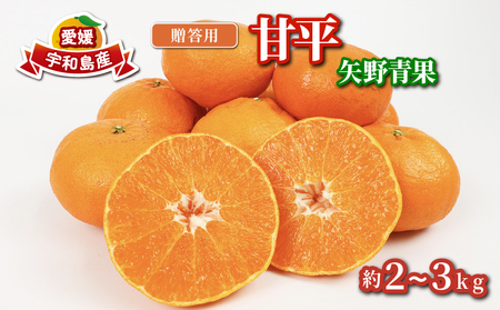 p Õ 2 ~ 3kg  s\ ݂ ϔ    i VLVL k ʕ  t[c Z Â Ö  i  Mtg v[g Yn _ƒ