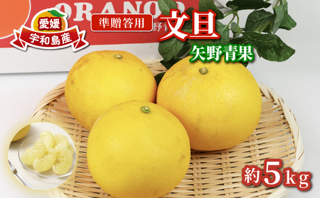 準 贈答用 文旦 5kg 矢野青果 ザボン ぶんたん ボンタン ポメロ 果物 くだもの フルーツ 濃厚 甘い 甘味 さっぱり 酸味 蜜柑 準贈答用 贈答品 贈答 ギフト プレゼント 産地直送 農家直送 数量限定 国産 愛媛 宇和島 B012-171012