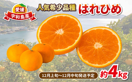 愛媛みかん はれひめ 4kg 家庭用みかん 協徳ガーデン 瀬戸の晴れ姫 晴姫 蜜柑 mikan 吉田みかん 愛媛みかん 愛媛ミカン 愛媛蜜柑 愛媛県産 果物 くだもの 柑橘 フルーツ 希少 品種 数量限定 産地直送 農家直送 国産 宇和島