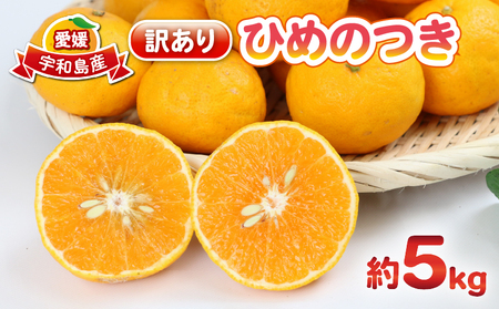 訳ありみかん ひめのつき 5kg 甘い 香り 爽やか 杉本屋 訳あり 品 わけあり 果物 くだもの フルーツ 柑橘 蜜柑 グルメ お取り寄せ デザート mikan ミカン 愛媛県産 愛媛みかん 愛媛ミカン 産地直送 数量限定 国産 宇和島