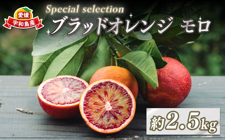 ブラッドオレンジ モロ Special selection 2.5kg コルレオファーム 果物フルーツ ブラッド オレンジ 柑橘 みかん 蜜柑 mikan 愛媛ミカン 愛媛蜜柑 愛媛みかん 農家直送 産地直送 数量限定 国産 宇和島