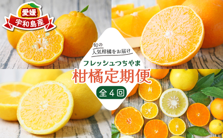 みかん定期便 柑橘定期便 全 4回 家庭用 愛果28号 ポンカン おまかせ詰合せ 黄金柑 フレッシュつちやま 果物 くだもの フルーツ 柑橘 愛媛みかん みかん mikan 蜜柑 プレゼント ギフト 産地直送 数量限定 国産 愛媛 宇和島 B048-096021