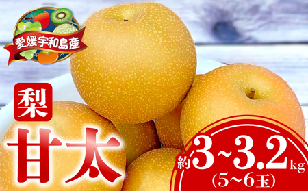 梨 甘太 3 〜 3.2kg(5〜6玉) 大森城山麓園 先行予約 なし 和梨 ナシ 新品種 果汁 甘い 人気 果物 フルーツ 産地直送 農家直送 数量限定 国産 愛媛 宇和島