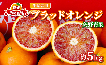 準贈答用 ブラッドオレンジ 5kg 矢野青果 果物 オレンジ フルーツ 柑橘 みかん 蜜柑 国産 愛媛 宇和島 産地直送 数量限定