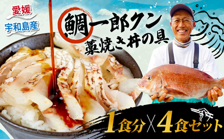 海鮮丼 鯛一郎クン 4食分 コバヤ 海鮮丼海鮮丼海鮮丼海鮮丼海鮮丼海鮮丼海鮮丼海鮮丼 D020-059010