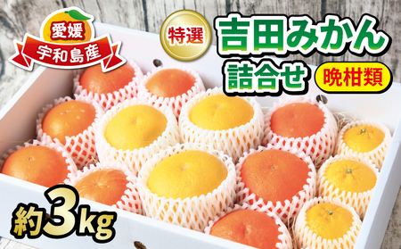 みかん 詰合せ 晩柑 竹 3kg 贈答用 特選 吉田みかん フレッシュつちやま 柑橘柑橘柑橘柑橘柑橘