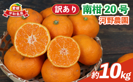 訳あり 南柑20号 10kg 河野農園 温州みかん みかん 人気のみかん 美味しい 濃厚 温州蜜柑 愛媛みかん 愛媛蜜柑 愛媛ミカン 蜜柑 mikan 温州 柑橘 果物 くだもの 訳アリ 訳あり品 訳有り わけあり フルーツ 産地直送 数量限定 先行予約 国産 宇和島