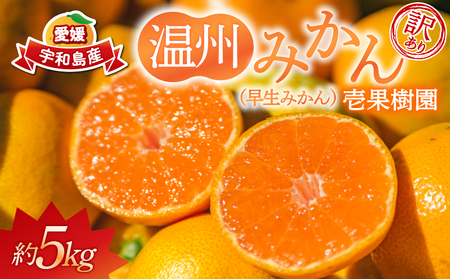 󂠂  B ݂ 5kg ʎ 킯 mikan B B݂ ݂ ʕ  Q݂ Q~J Q QY A 󂠂i L t[c k 