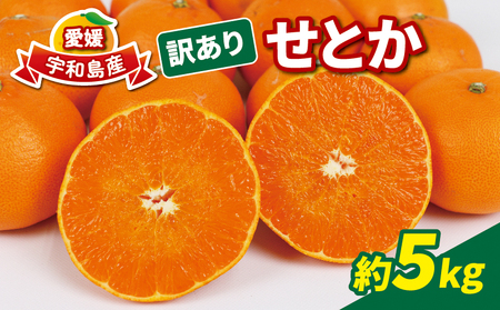 訳あり せとか 5kg マル南フルーツ 柑橘の大トロ 高級 ブランド 希少 品種 mikan 愛媛みかん 愛媛蜜柑 愛媛ミカン 宇和島みかん 高級みかん 人気 訳アリ 訳あり品 果物 くだもの フルーツ 柑橘 蜜柑 産地直送 数量限定 国産 宇和島