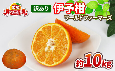 愛媛みかん 訳あり 伊予柑 10kg ワールドファーマーズ わけあり いよかん 愛媛ミカン 愛媛蜜柑 訳アリ 訳あり品 訳有り みかん 蜜柑 mikan 果物 くだもの フルーツ 柑橘 みかん 数量限定 産地直送 国産 宇和島