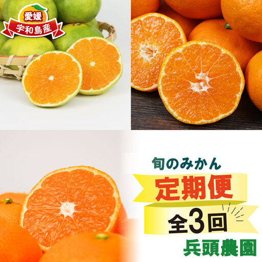 愛媛みかん 旬の みかん 定期便 3回 家庭用 9kg ×3回 極早生 早生 中生 兵頭農園 先行予約 温州 ごくわせ わせ なかて 3ヶ月 mikan 愛媛ミカン 愛媛蜜柑 果物 くだもの フルーツ 柑橘 甘い ジューシー 果肉 蜜柑 産地直送 農家直送 数量限定 国産 宇和島