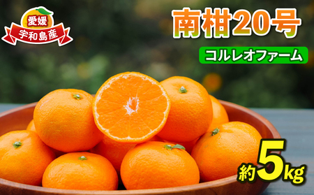 みかん 南柑20号 温州みかん 5kg コルレオファーム 先行予約 フルーツ 愛媛みかん 柑橘 蜜柑 mikan 温州 果物 くだもの 人気のみかん 美味しい 濃厚 愛媛県産 温州蜜柑 産地直送 農家直送 数量限定 先行予約 国産 愛媛 宇和島