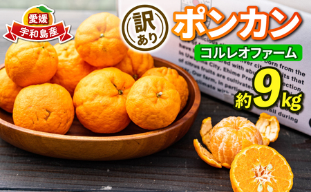 訳あり ポンカン 9kg コルレオファーム わけあり訳あり品 訳有り 訳アリ 愛媛みかん 愛媛ミカン みかん フルーツ 柑橘 蜜柑 mikan 果物 くだもの 甘い コク 人気のみかん 美味しい 産地直送 数量限定 先行予約 国産 愛媛 愛媛県 宇和島