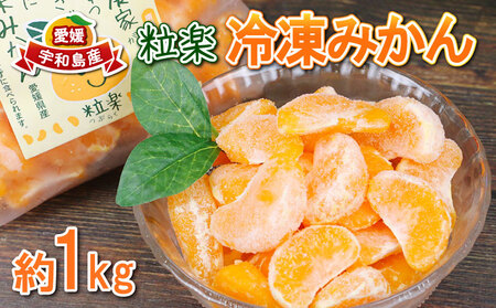 冷凍 みかん 1kg 1袋 粒楽 冷凍みかん 冷凍フルーツ 南四国ファーム 蜜柑 デザート スイーツ シャーベット アイス 果物 フルーツ 柑橘 冷凍 加工品 産地直送 国産 愛媛 宇和島 J010-035018