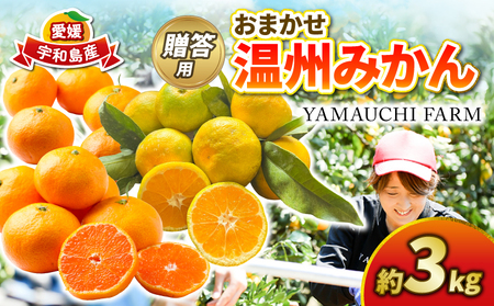 ݂ p ܂ B݂ 3kg YAMAUCHI FARM Q݂ ɑ  승20 Q Q~J 񂵂イ ʒ ݂ mikan s\ ʕ t[c k Z Â Ö  Yn