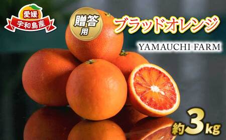 s\ p ܂ ubhIW  ^bR 3kg YAMAUCHI FARM Q݂ Q Q~J IW ʒ ݂ mikan ʕ t[c k Z Â Ö  Yn _