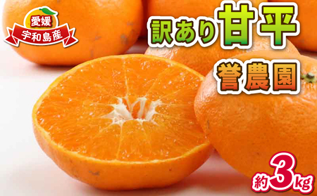 ���Q�݂��� �󂠂� �Õ� 3kg �_�_�� ���� ���Q ���� �u�����h �i�� ���Q�~�J�� ���Q���� �݂��� ���� mikan �������k �ʕ� �������� �t���[�c ���k �݂��� ���� ���ʌ��� �_�ƒ��� �Y�n���� ���Y