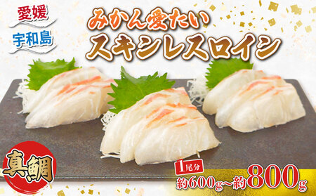 真鯛 みかん愛たい１尾 スキンレスロイン 600ｇ～800ｇ 南予ビージョイ お刺身 ロイン 鯛しゃぶ カルパッチョ 鯛めし 鯛茶漬け tai 産地直送 お取り寄せ 新鮮 鍋 海鮮鍋 冷蔵 個包装 鮮魚 海の幸 魚介 国産 愛媛 宇和島 D014-150012