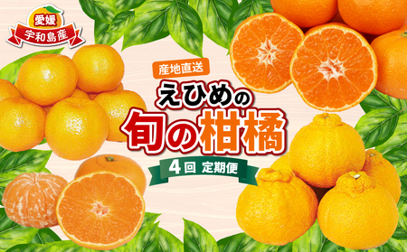 えひめの旬の柑橘 産地直送 4回 定期便 えひめ南農業協同組合直販センター JA  柑橘定期便柑橘定期便柑橘定期便みかん 愛媛 宇和島 B080-009011