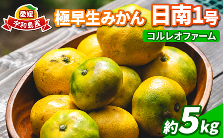 蜜柑 愛媛 極早生 みかん 日南1号 5kg S~L サイズ 混合 先行予約 コルレオファーム 極早生みかん mikan さっぱり 爽やか 甘味 酸味 果物 フルーツ 柑橘 農家直送 産地直送 数量限定 国産 宇和島